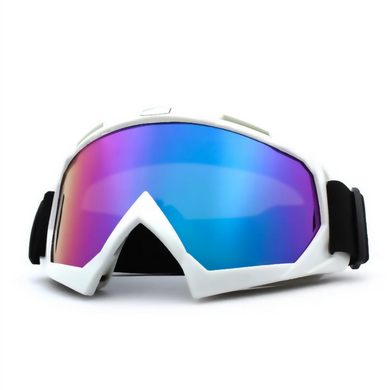 Velocity Snow Goggles